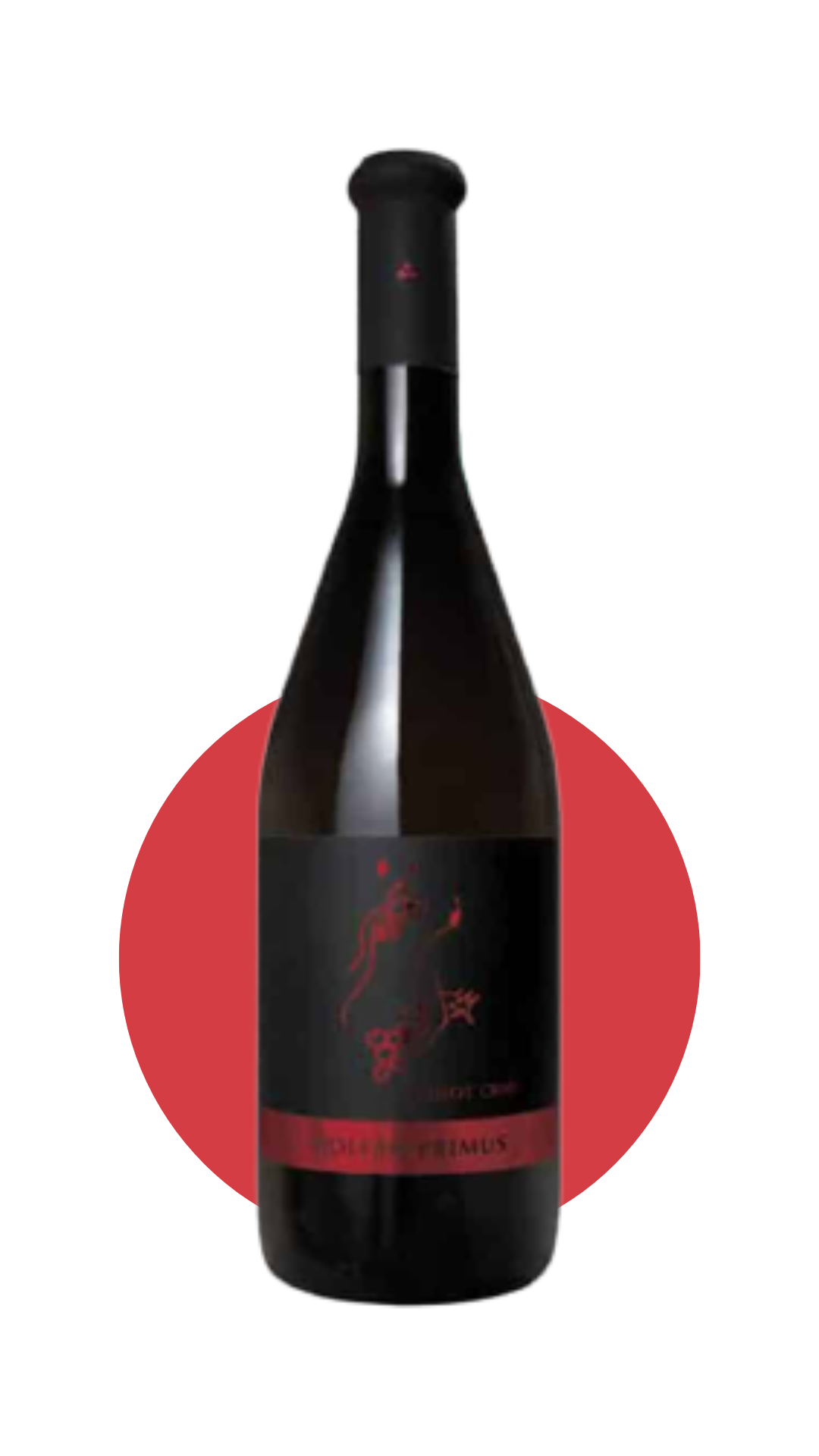 Primus Pinot Noir 2017 - Fyldig, bærpræget, fadlagret og økologisk