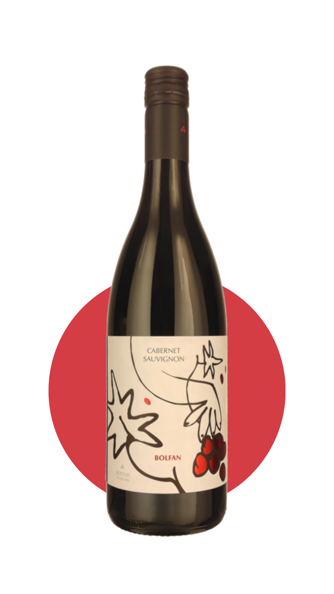 Cabernet Sauvignon 2019 - Elegant, bærduftende, fadlagret og økologisk