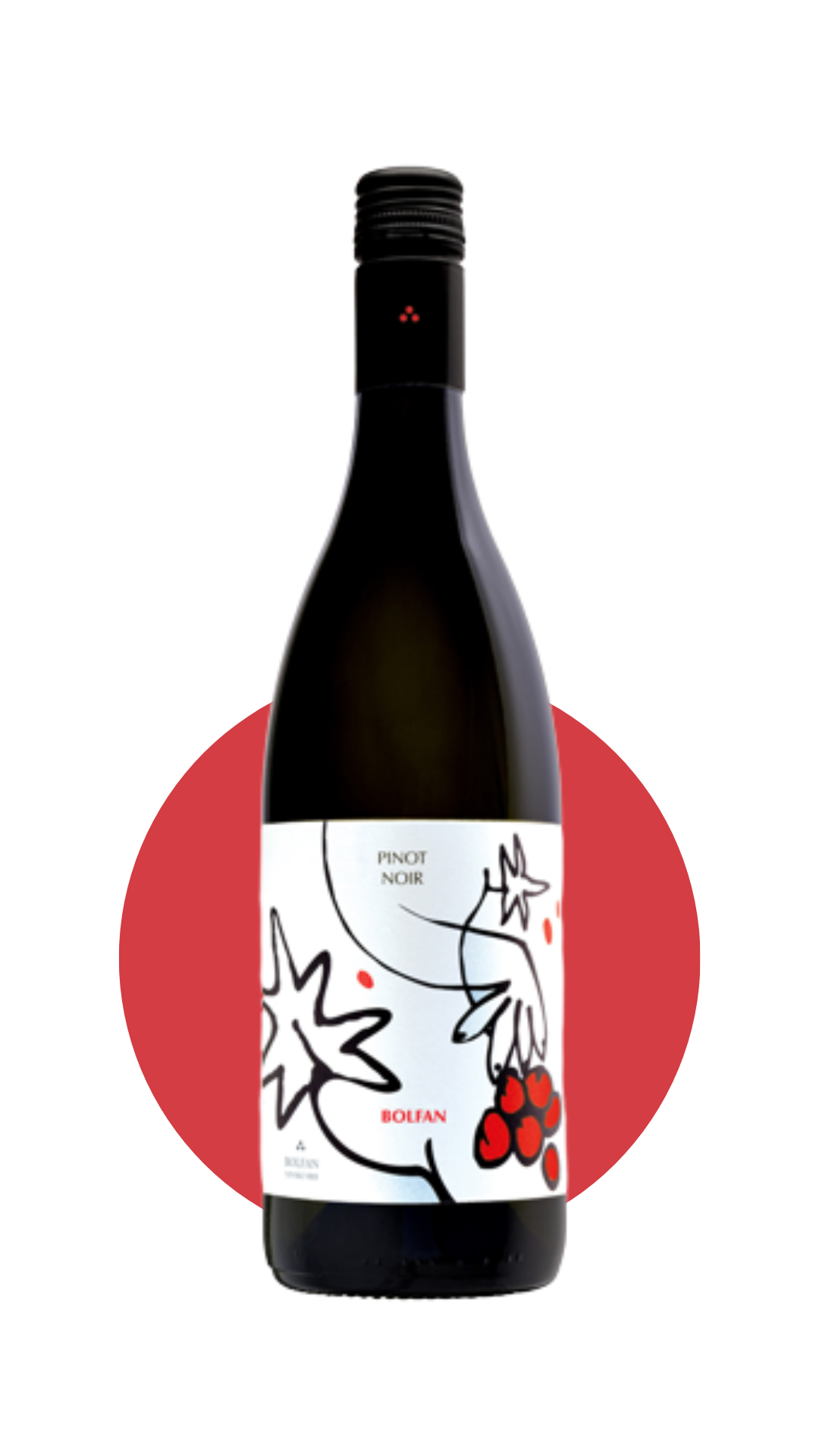 Pinot Noir 2020 - Bærduftende, harmonisk, livlig og økologisk