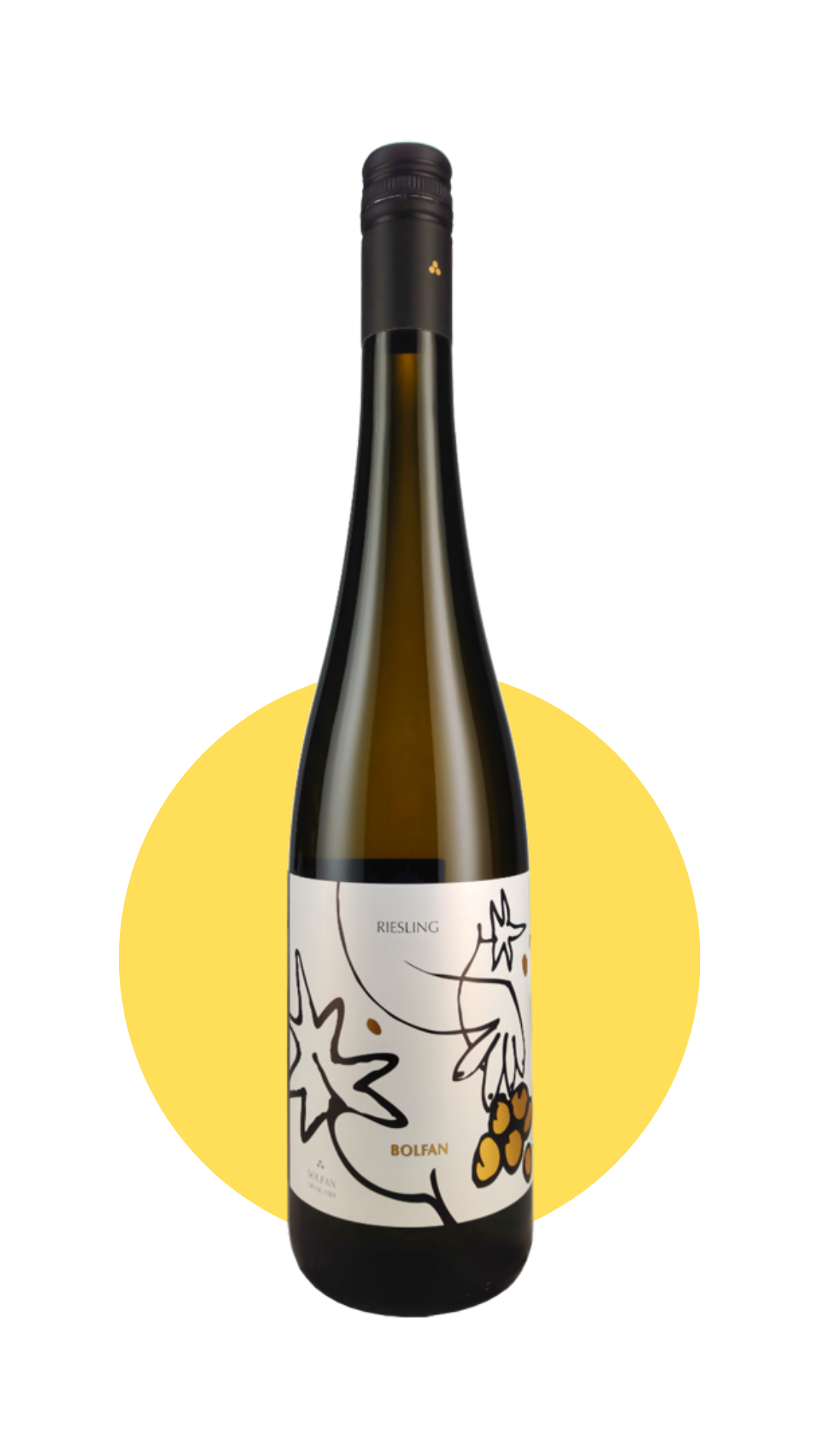 Riesling 2023 - Fyldig, frugtig, mineralsk og økologisk