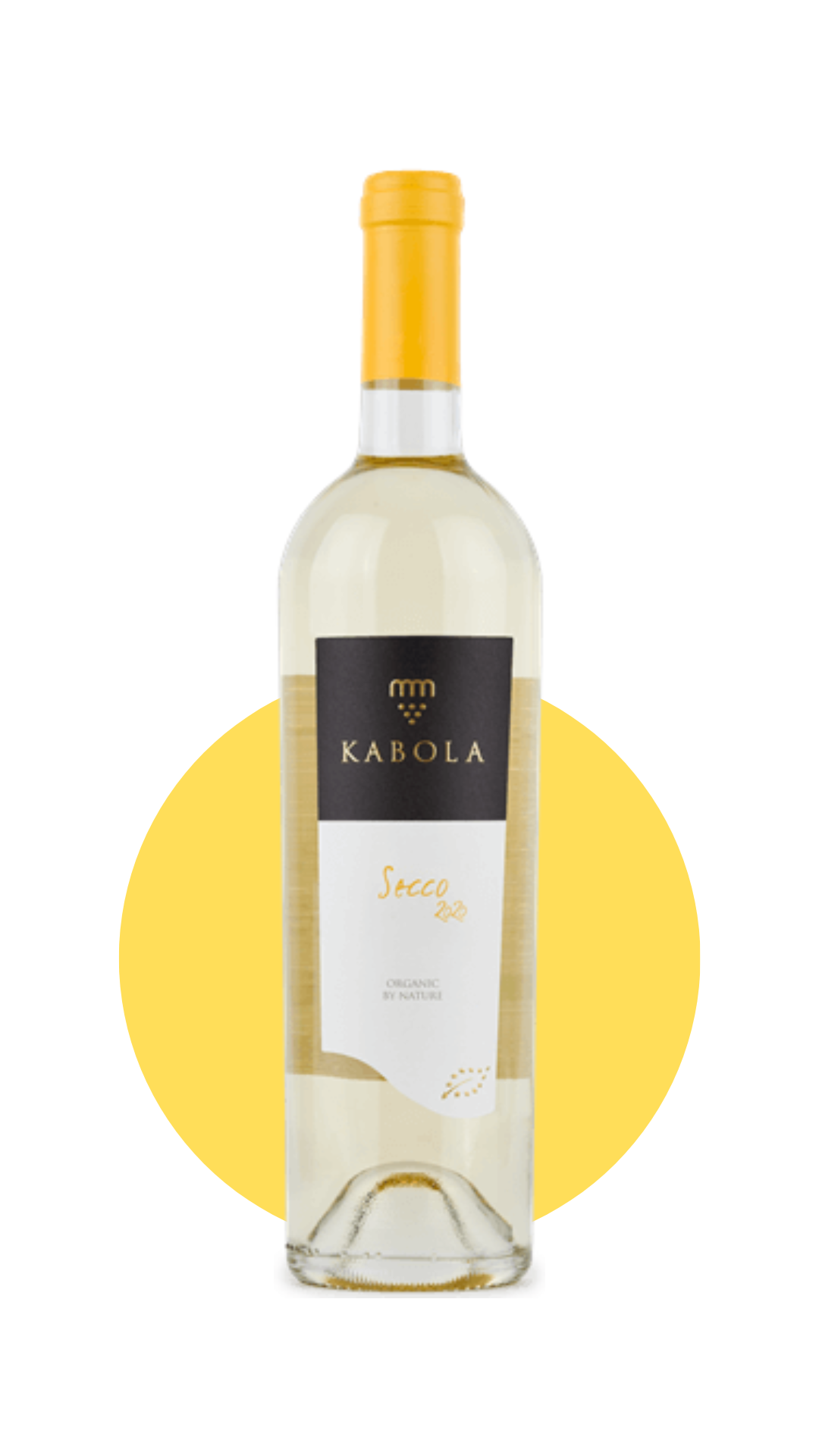 Secco (Muskat Momjamski) 2023 - Harmonisk, letdrikkelig og økologisk