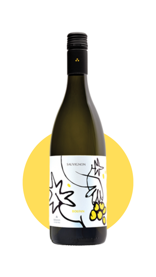 Sauvignon Blanc 2019 - Frisk, mineralsk, blomsterpræget og økologisk